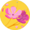 Home 18 Marianna Avatar